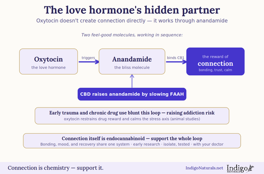 cbd and oxytocin