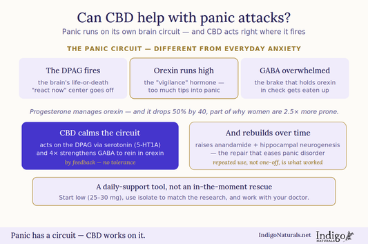 Can CBD Help With Panic Attacks