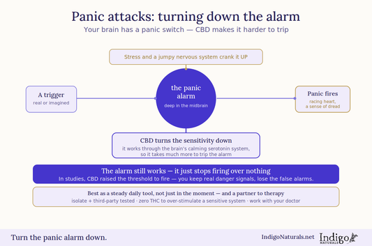 CBD oil and Panic Attacks