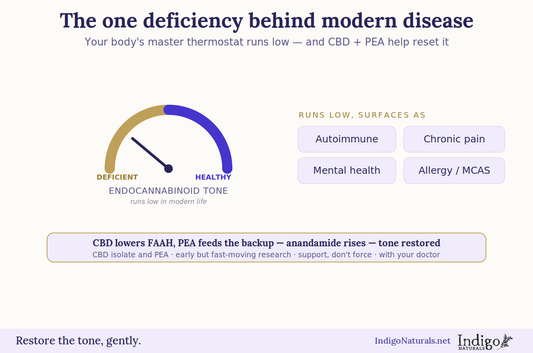 endocannabinoid system and modern disease