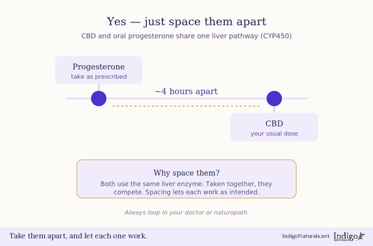 Can You Take CBD with Oral Progesterone?