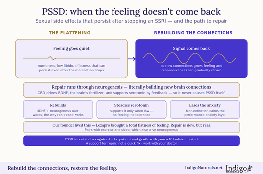 CBD oil and PSSD