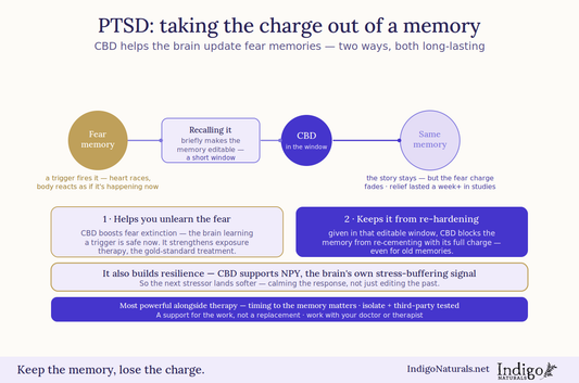 CBD oil and PTSD