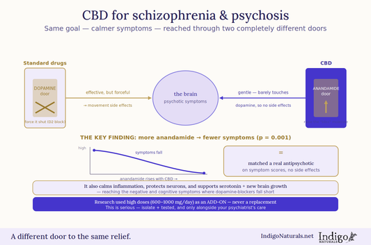 CBD and schizophrenia or pschosis