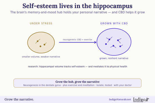 CBD and self esteem