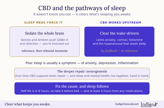 An Updated View of CBD and The Pathways of Sleep with a Focus on Mental Health