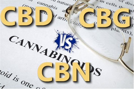 CBD vs CBG vs CBN - Actual Research Beyond The Hype - indigonaturals.net