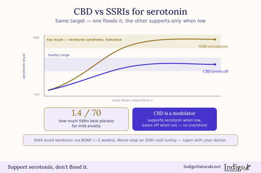 Comparing CBD versus SSRI's for Serotonin