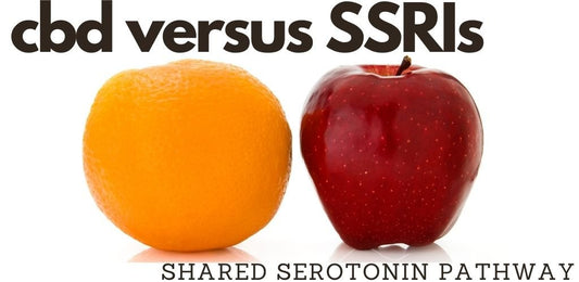 Comparing CBD versus SSRI's for Serotonin - indigonaturals.net