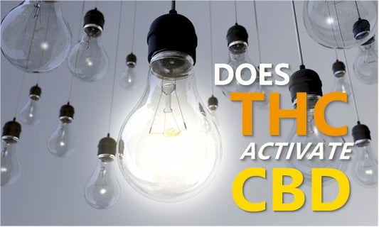 Do You Need THC To Activate CBD? - indigonaturals.net