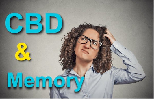 Does CBD Affect Memory  - Updated Research - indigonaturals.net