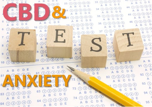Does CBD Help with Test Taking Anxiety - indigonaturals.net