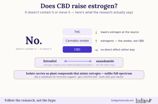 Does CBD increase estrogen