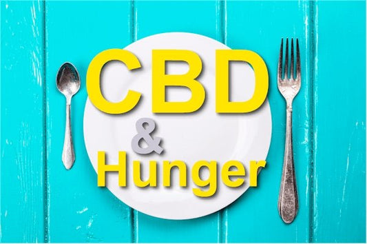 Does CBD Make You Hungry - Can it Increase Appetite? - indigonaturals.net