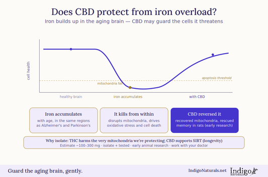 Does CBD Protect from Iron Overload?