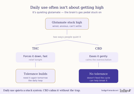 Is Glutamate Why People Chronically Use THC and Cannabis?