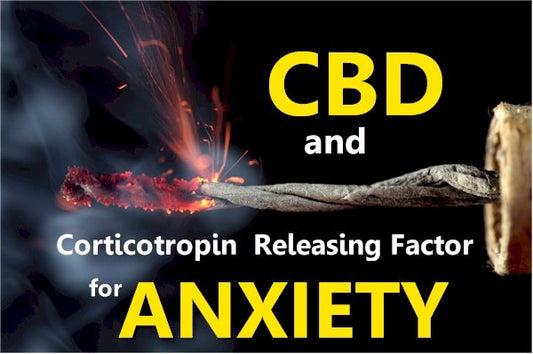 How CBD affects CRF (Corticotropin Releasing Factor) and Anxiety - indigonaturals.net