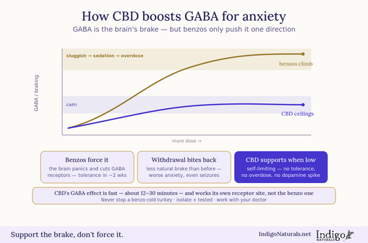 How Does CBD Boost GABA for Anxiety