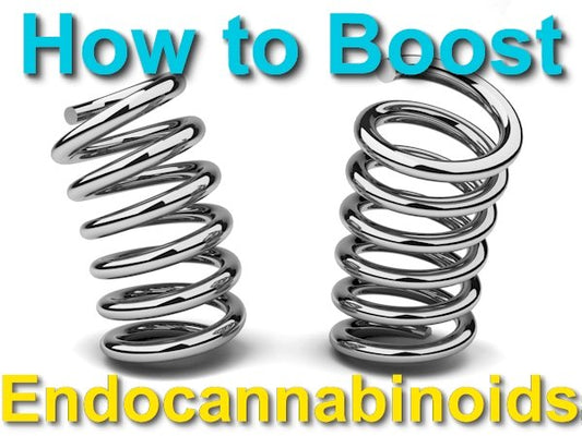 How Do I Increase Endocannabinoids Naturally - indigonaturals.net