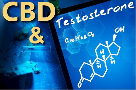 How Does CBD Affect Testosterone? - indigonaturals.net