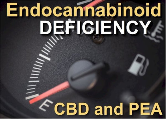 How to Treat Endocannabinoid Deficiency - indigonaturals.net