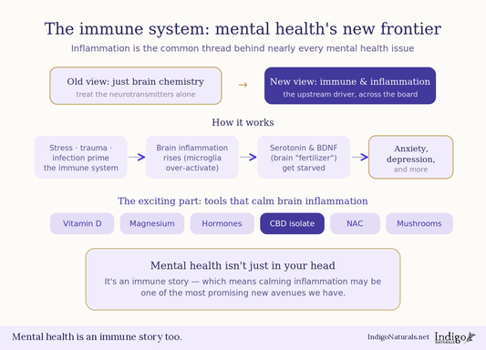 The Immune System is the New Frontier for Mental Health