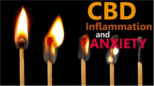 Inflammation, Anxiety, and CBD - indigonaturals.net