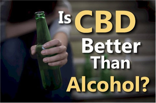 Is CBD Better than Alcohol?  A Deep Dive into the Research - indigonaturals.net