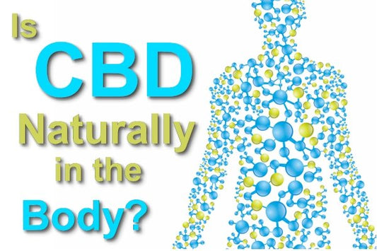 Is CBD Naturally Occurring In The Body? - indigonaturals.net
