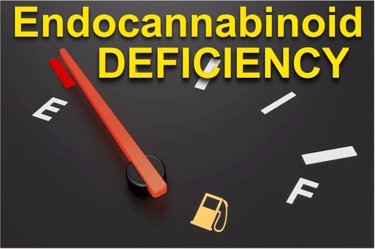 Is Endocannabinoid Deficiency at the Root of Modern Disease?  Research on CBD and PEA - indigonaturals.net