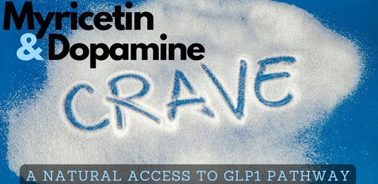 Myricetin and Dopamine - the Craving Addiction Pathways - indigonaturals.net