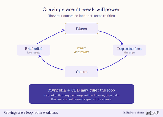 Myricetin and Dopamine - the Craving Addiction Pathways