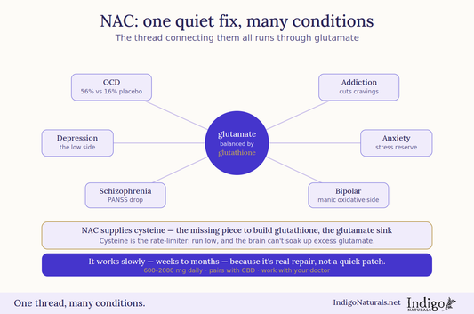 Guide to NAC (N-Acetylcysteine) for Mental Health