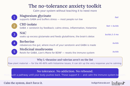 Guide for Top 5 Ways to Beat Back Anxiety…Fast!