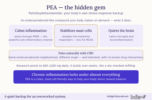CBD and PEA for Histamine and Mast Cell Activation