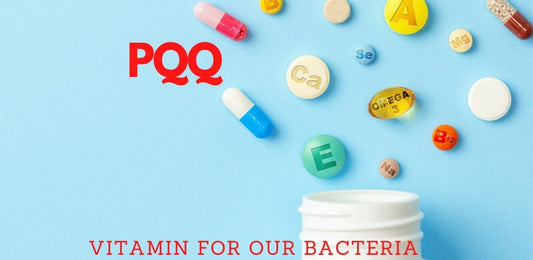 PQQ - Vitamin for our Bacteria - indigonaturals.net