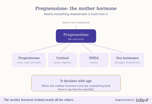Pregnenolone - Guide for Health, Perimenopause, and Aging