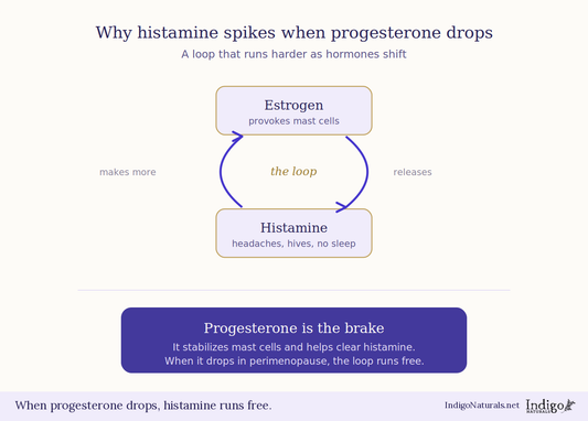 Is Progesterone the Key to Mast Cell Activation?
