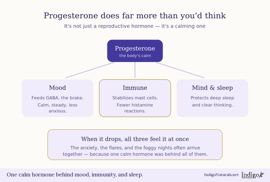 Progesterone and Mood, Immune System, and Mental Health