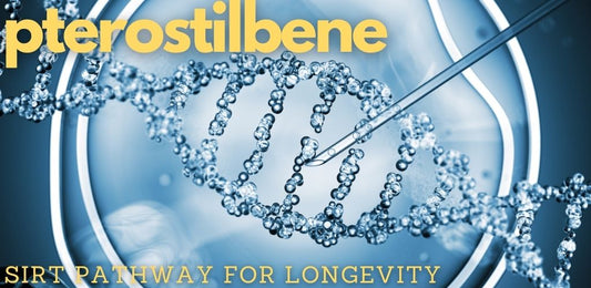 Pterostilbene and Epigenetics - the SIRT Connection for Longevity - indigonaturals.net
