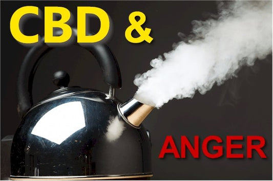 Research CBD and the Pathways of Anger, Rage, and Aggression - indigonaturals.net