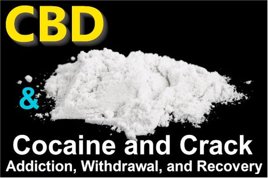 Research on CBD and Cocaine or Crack Addiction, Withdrawals, and Recovery - indigonaturals.net