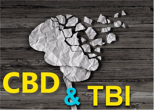 Research on CBD and TBI (Traumatic Brain Injury) and Concussion - indigonaturals.net