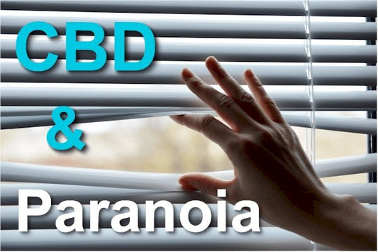 Research on CBD and the Pathways of Paranoia - indigonaturals.net