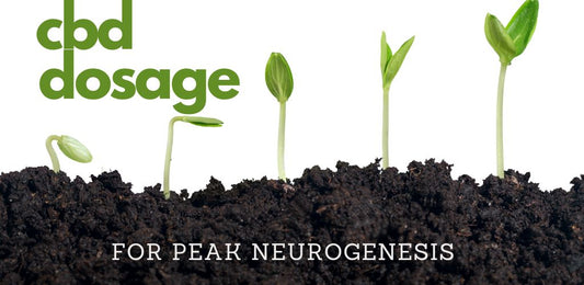Research on CBD Dosage for Neurogenesis - indigonaturals.net