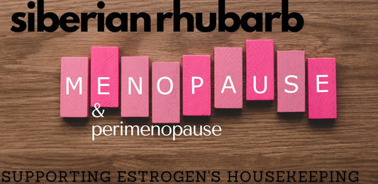 Siberian Rhubarb Guide for Perimenopause - indigonaturals.net
