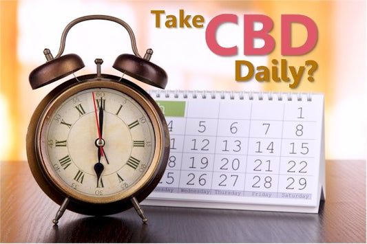Should CBD Be Taken Daily? - indigonaturals.net