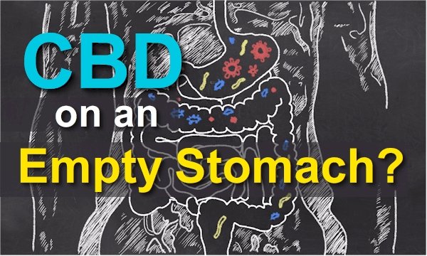 Should CBD Be Taken On An Empty Stomach