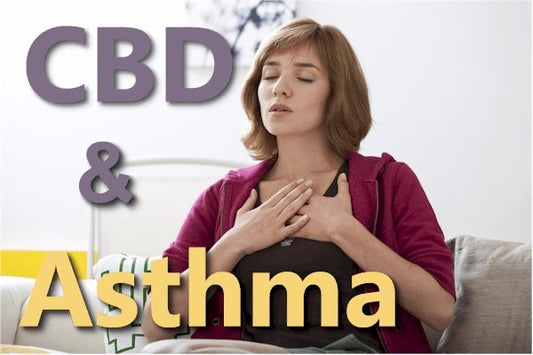 Updated Research on CBD and Asthma - indigonaturals.net