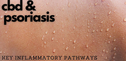 Updated Research on CBD and Psoriasis - indigonaturals.net